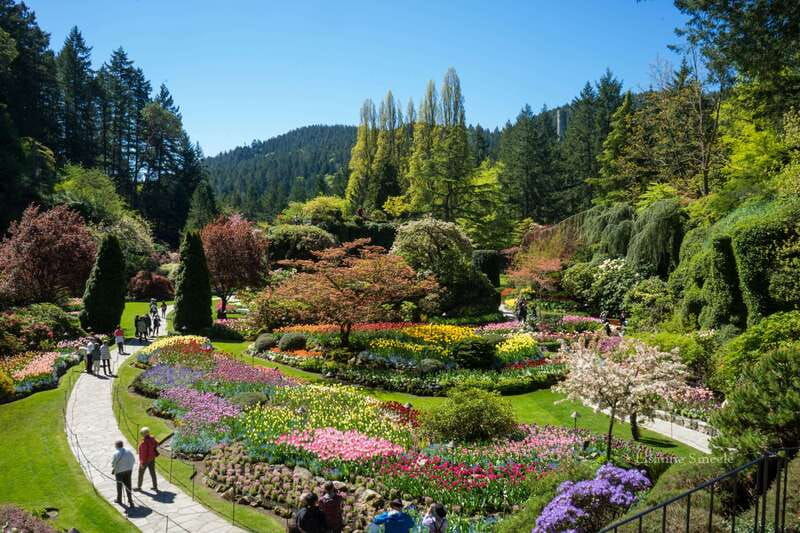 from-vancouver-butchart-gardens-victoria-sightseeing-tour