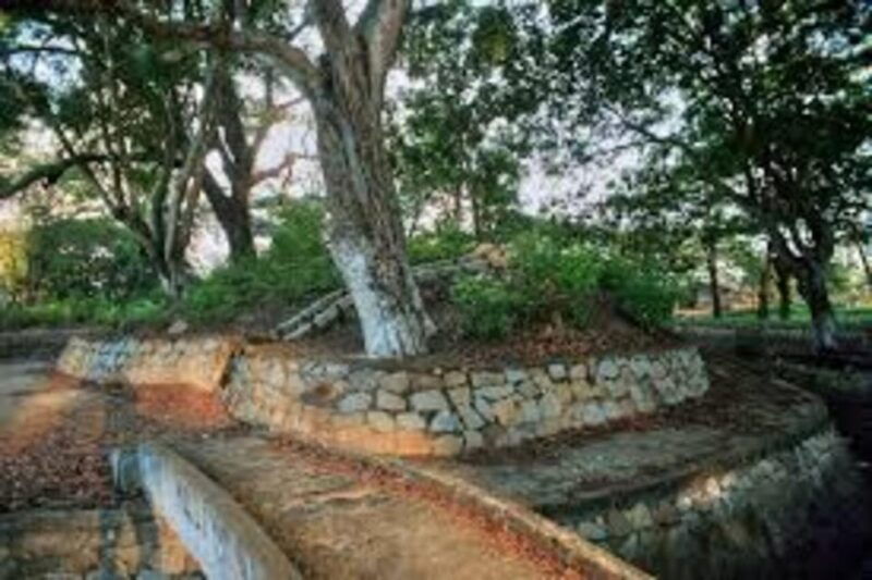 from-vung-tau-nui-dat-long-tan-private-tour
