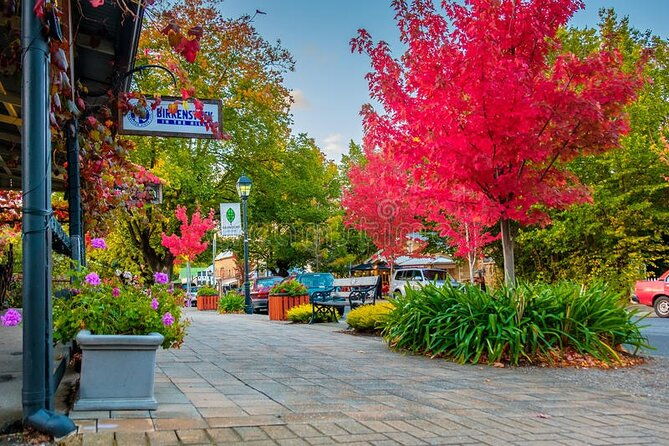 Full Day Adelaide Private Guided Tour - FAQ