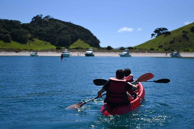 Full-Day Adventure Cruise with Lunch in Bay of Islands - Authentic Experiences and Guest Perspectives