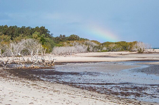 Full Day Birdlife Tour in Bribie Island - The Guide’s Role and Past Experiences