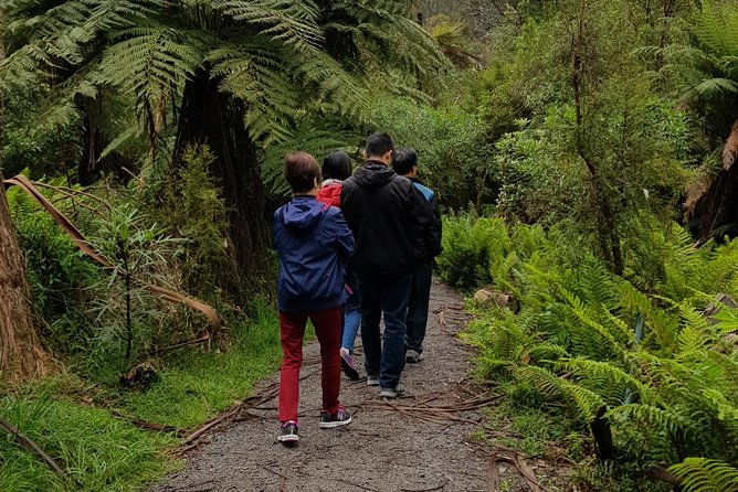 Full-Day Dandenong Ranges Tour with Pickup from Melbourne - The Experience of the Guides and Group