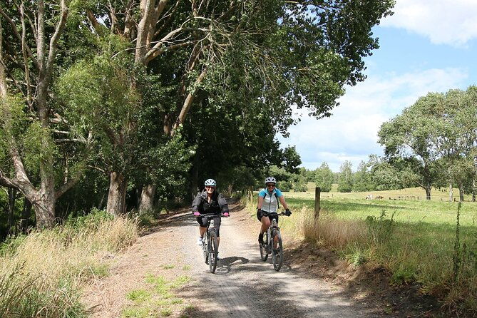 Full Day Ebike Tour in Karangahake Gorge (ex Auckland) - Practical Info and Tips