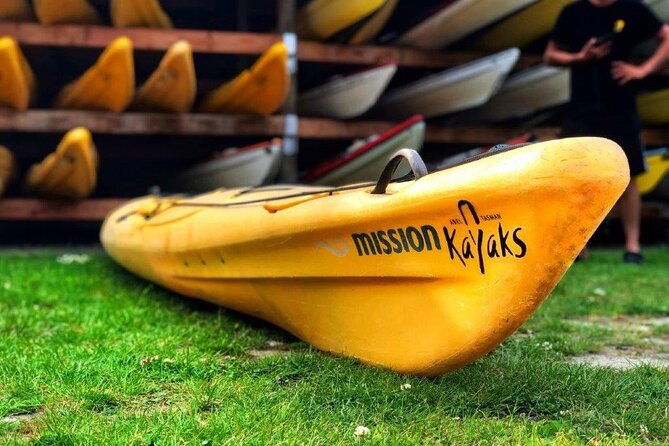 Full-Day Freedom Kayak Rental in New Zealand - Why This Experience Works