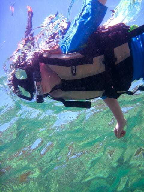 full-day-guided-snorkeling-tour-from-kota-kinabalu