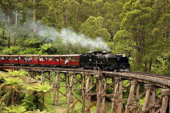 Full Day in Melbourne on Ocean Cruise - Who Should Consider This Tour?