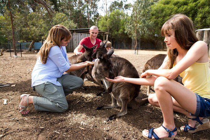 Full-Day Kangaroo Island Experience Departing from Kangaroo Island - Who Is This Tour Best For?