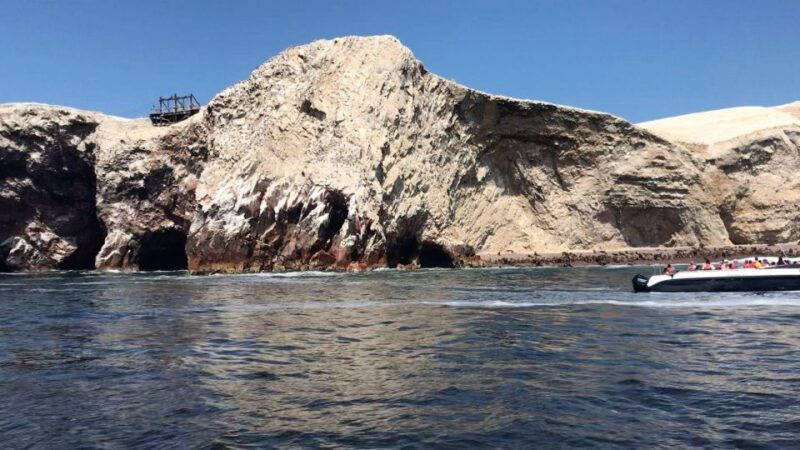 full-day-paracas-ica-from-lima