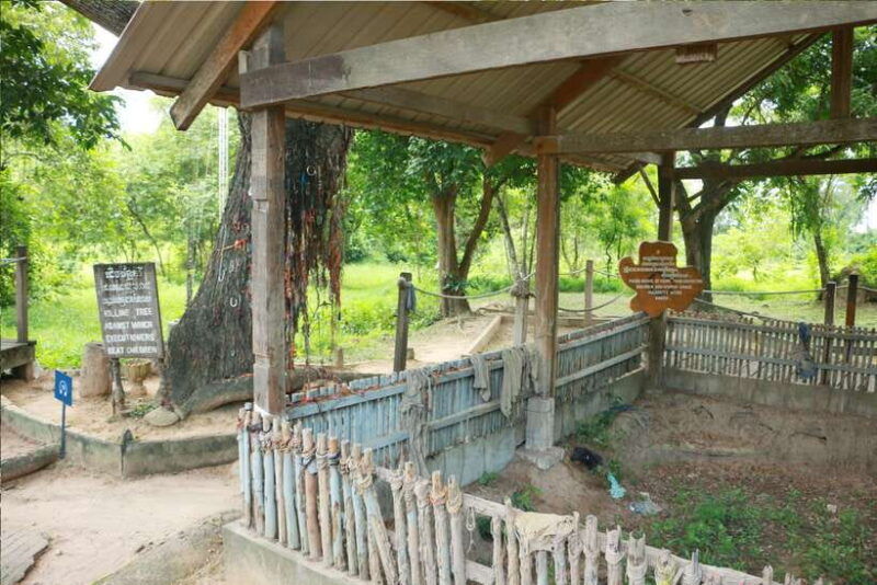 full-day-phnom-penh-city-tour-with-private-vehicle-and-guide