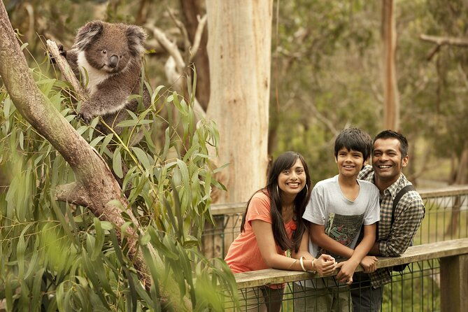Full-Day Private Australian Wildlife Tour of Phillip Island - Authentic Experiences and Hidden Gems