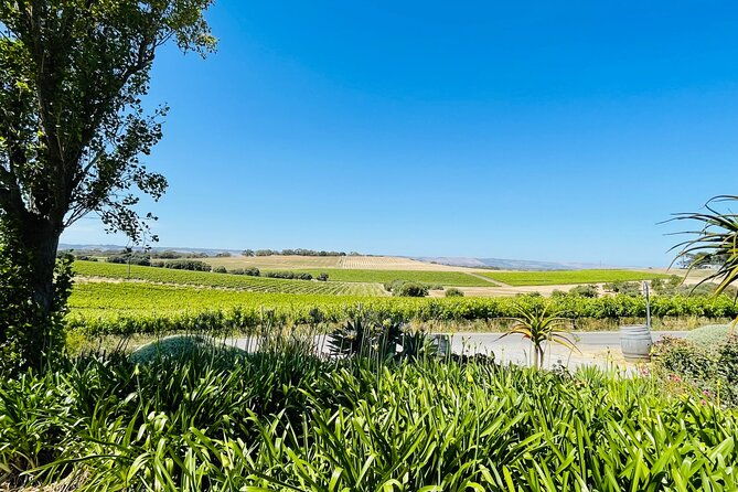 Full Day Private Barossa Valley Wine Tour - Practical Details and Tips