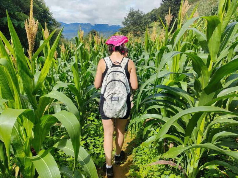 full-day-private-trekking-mu-cang-chai