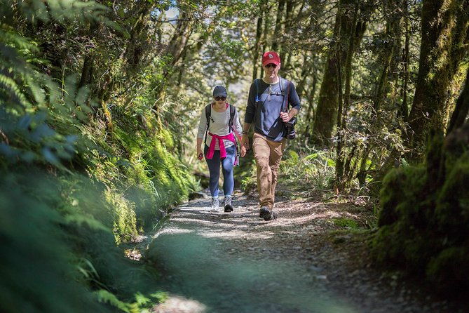 Full-Day Routeburn Track Key Summit Guided Walk from Te Anau - Who Should Consider This Tour?