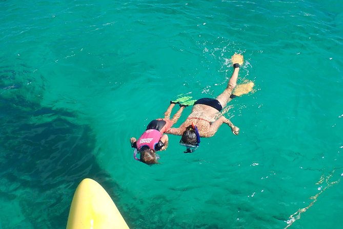 Full Day Sail to Rottnest Island from Fremantle - What Sets This Tour Apart?
