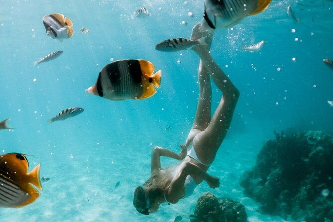 Full Day Tour : Moorea Snorkeling & Sunset Cruise on a Catamaran named Taboo - Practical Details & Considerations