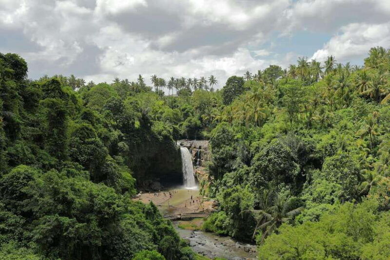 full-day-tour-to-explore-ubud-with-private-car