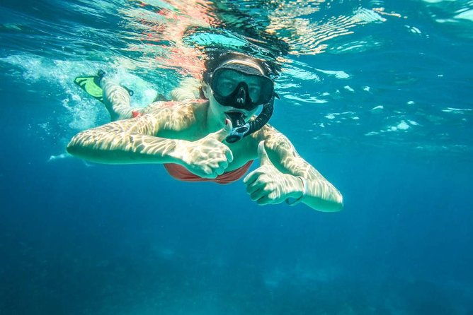 Full-Day Trip to Koh Tao and Koh Nang Yuan from Koh Samui by Speedboat - Costs and Value