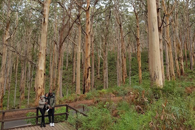 Fully Tailored Private Bespoke Tour of Margaret River - Final Thoughts