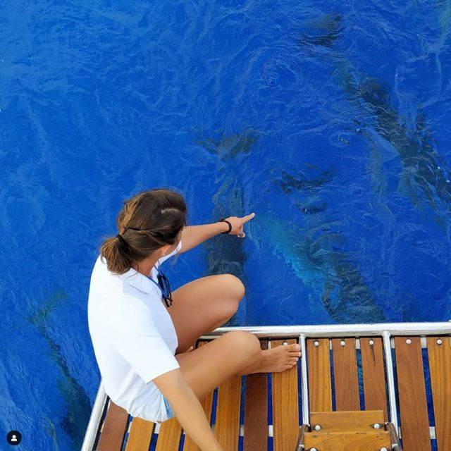 funchal-dolphin-and-whale-watching-sailing-trip