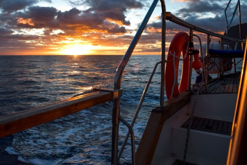 funchal-dolphin-and-whale-watching-sunset-sailing-tour