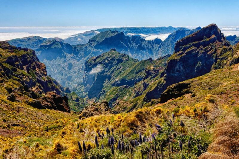 funchal-east-madeira-island-guided-tour-laurissilva-walk