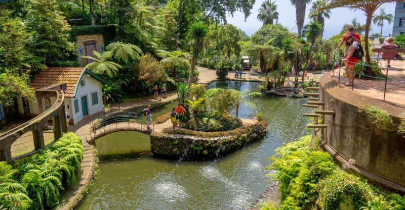 funchal-monte-palace-tropical-gardens-tuk-tuk-tour