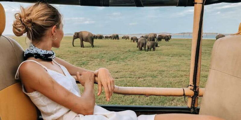 galle-mirissa-hikkaduwa-transfer-to-ella-udawalawa-safari