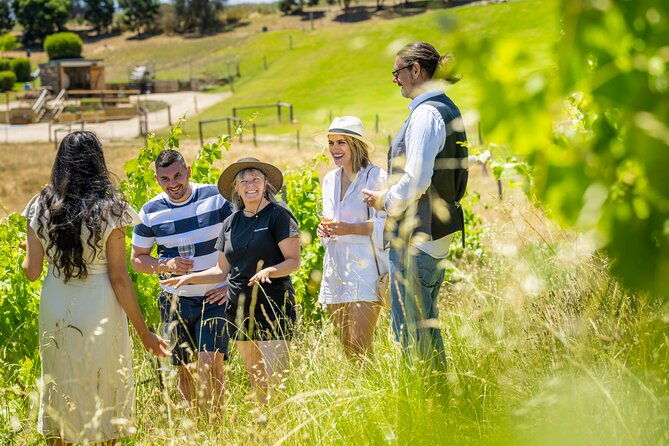 Gemtree Wines: Wine and Wander Experience - The Sum Up