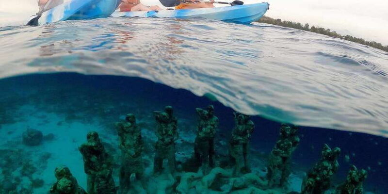gili-island-private-snorkeling-visit-baby-turtles