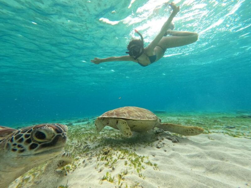 gili-islands-2-hour-snorkel-with-gopro-camera-guide