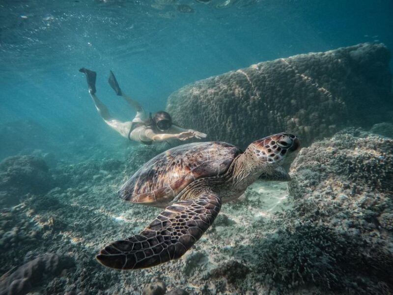 gili-islands-group-or-private-snorkeling-tour-with-gopro