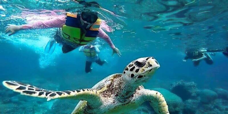 gili-islands-snorkeling-adventure