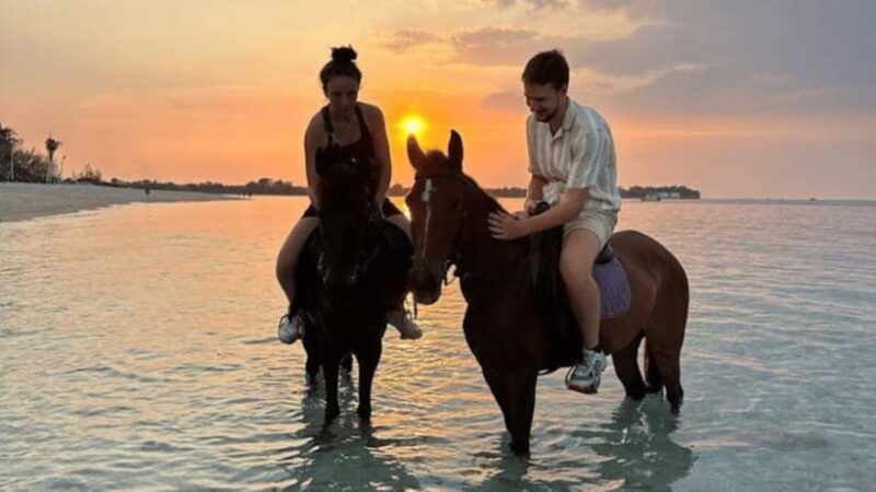 gili-meno-1-hour-horse-riding-adventure
