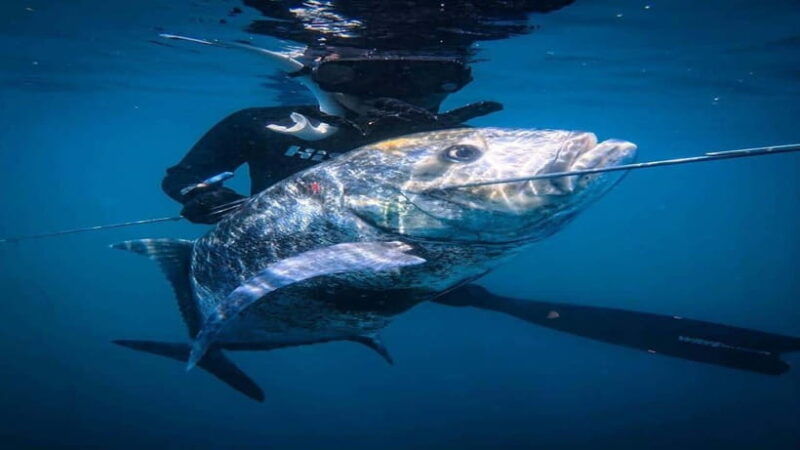 gili-meno-experience-the-thrill-of-spearfishing-adventures
