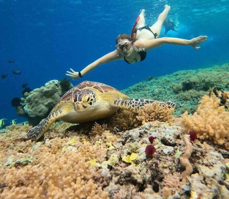 gili-meno-private-snorkeling-3-4-spot-with-gopro-camera