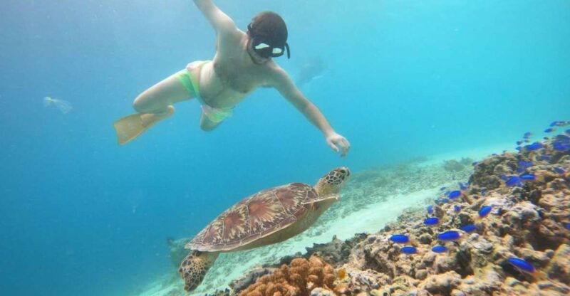 gili-t-island-gili-snorkeling-day-trip-swim-with-turtles