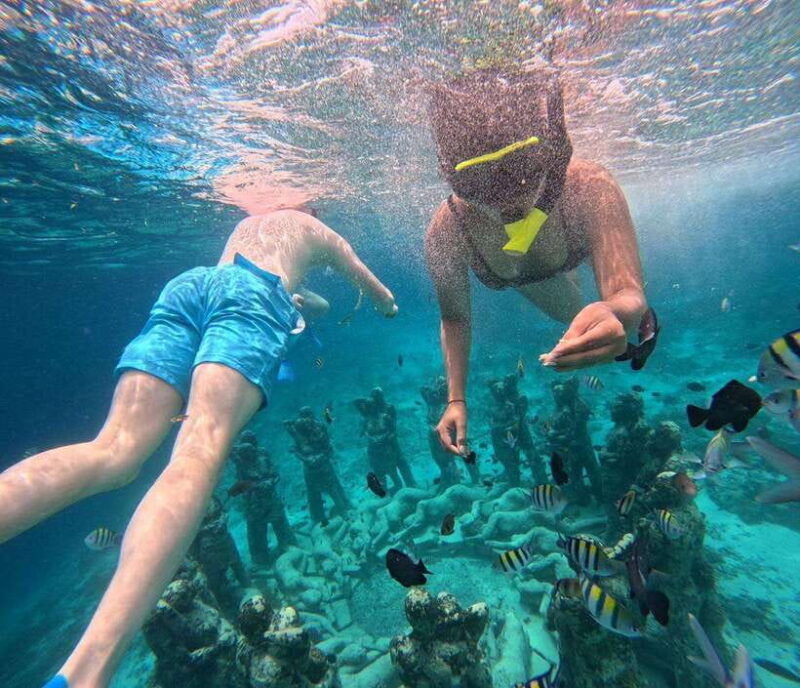 gili-t-private-snorkeling-trip-5-hours-3-gili
