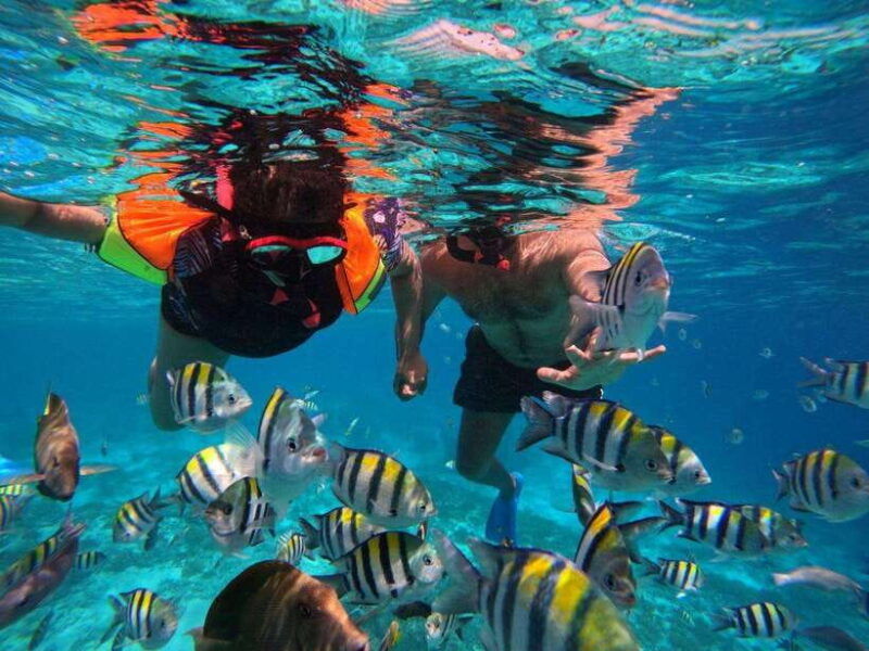 gili-t-shared-group-snorkeling-trip