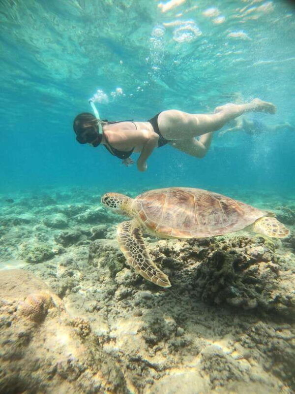 gili-t-small-group-snorkeling-trip