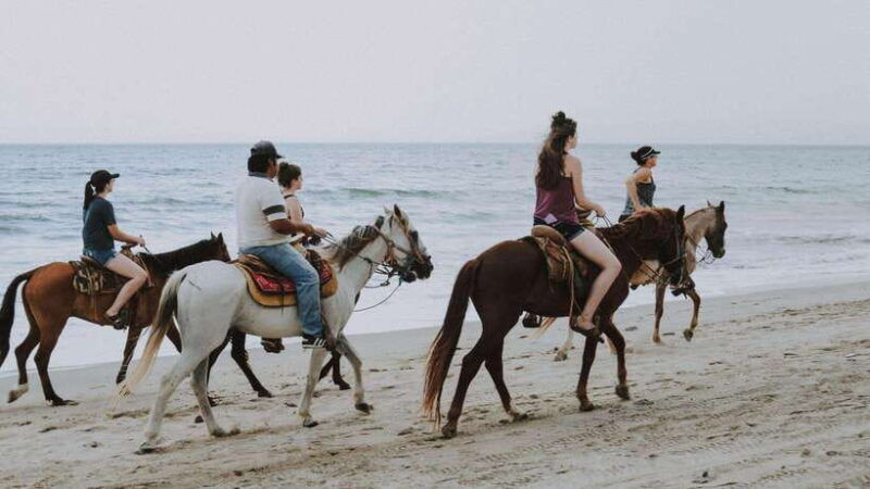 gili-trawangan-beach-horseback-riding-with-pickup-hotel