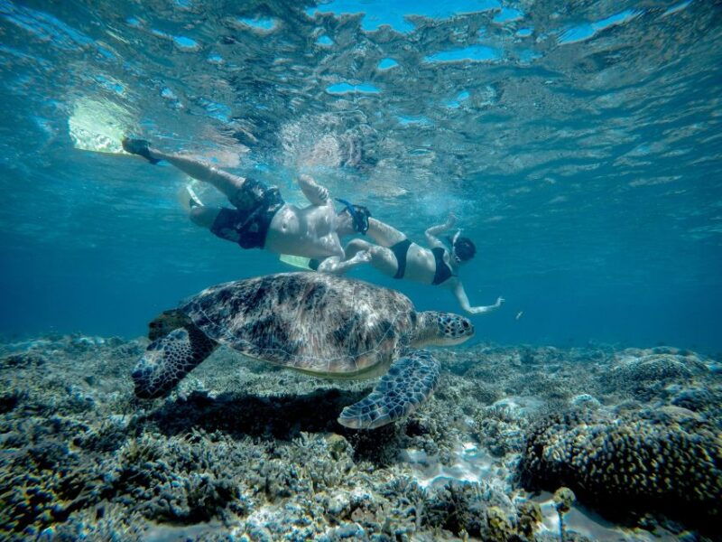gili-trawangan-half-day-snorkeling-with-turtle-and-statue