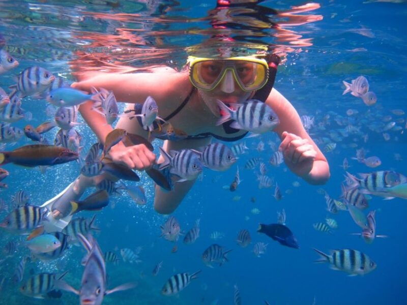 gili-trawangan-islands-hopping-snorkeling-trip