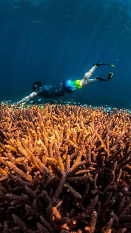 gili-trawangan-private-sharing-snorkeling-tour-3-gili