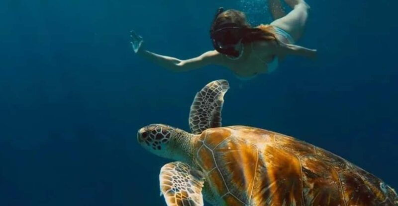 gili-trawangan-private-snorkeling-sunrise-and-sunset-tour