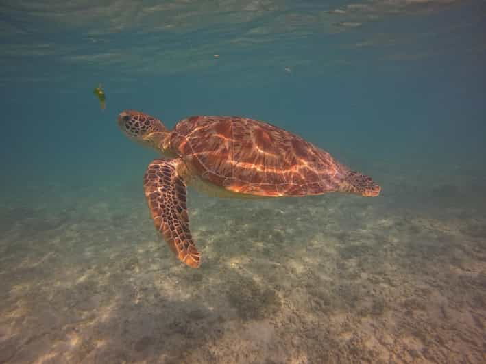go-pro-snorkling-trip-3-islands