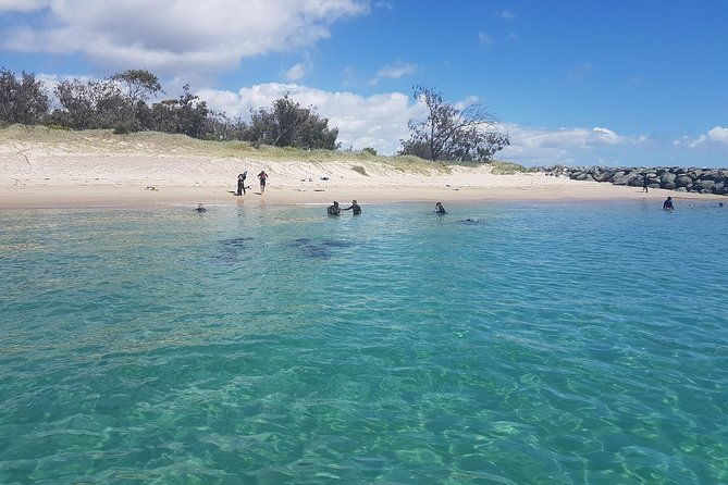 Gold Coast Try-Scuba Experience at Wave Break Island - The Pros and Cons: Balancing the Experience