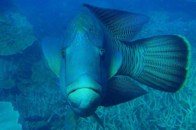 Great Barrier Reef Private Expedition Cruise (min 4 day max 8 guests) - Comfort and Convenience Onboard