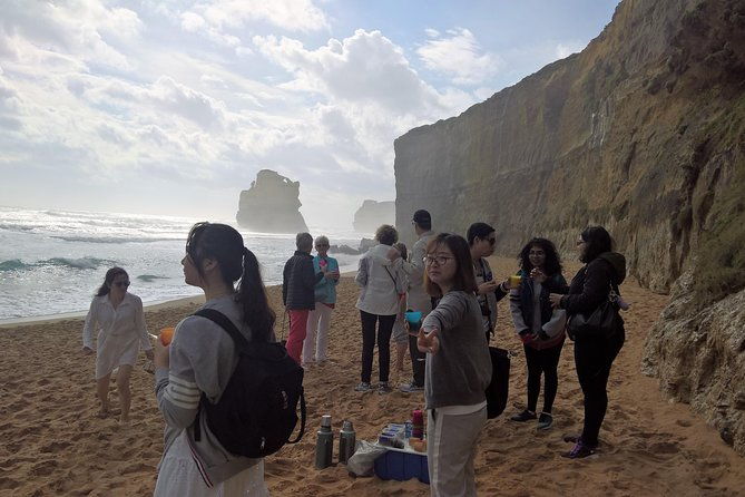 Great Ocean Road Full Day Private Experience - Who Is This Tour Perfect For?