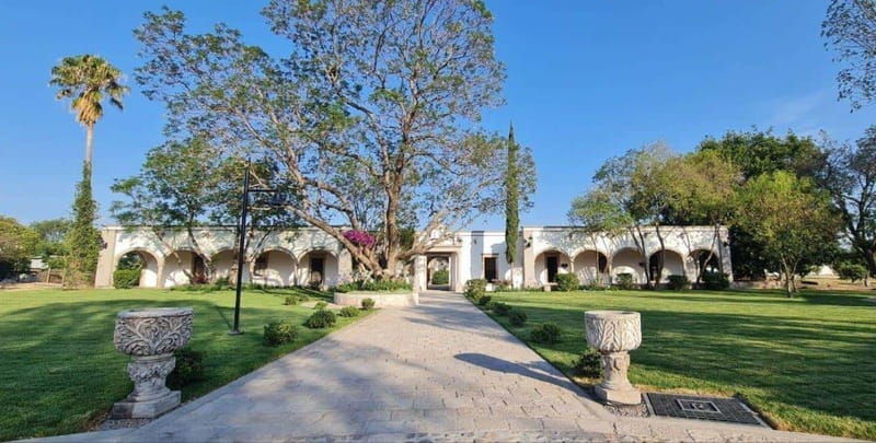 guanajuato-the-remedios-vineyard