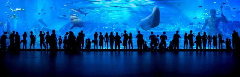 guangzhou-grandview-plaza-polar-ocean-world-entry-ticket